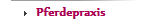 Pferdepraxis