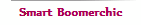Smart Boomerchic