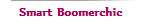 Smart Boomerchic